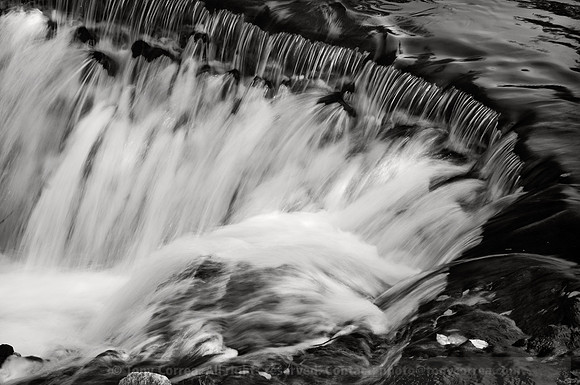 10-0924-021