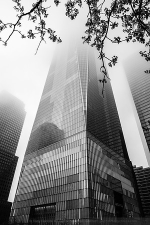 17-0505-30265